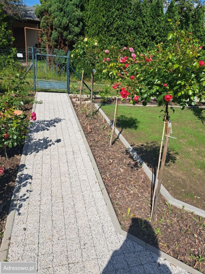 Działka rod Poznań Ławica, ul. Bukowska. Zdjęcie 8