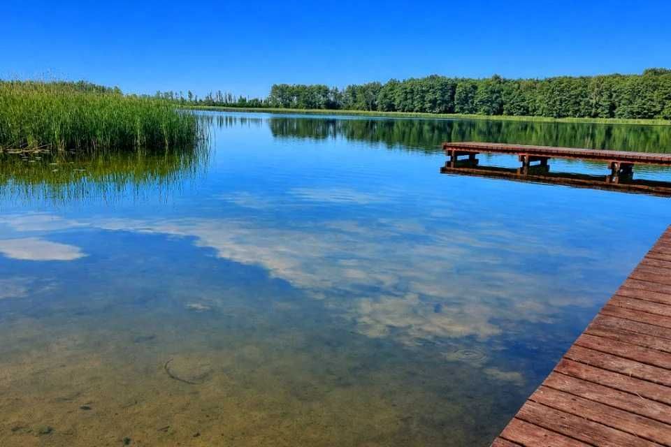 Działka inwestycyjna Sielsko. Zdjęcie 3