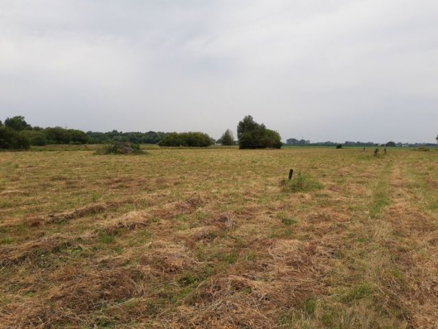 Działka budowlana Jaktorów, ul. Pomorska. Zdjęcie 1