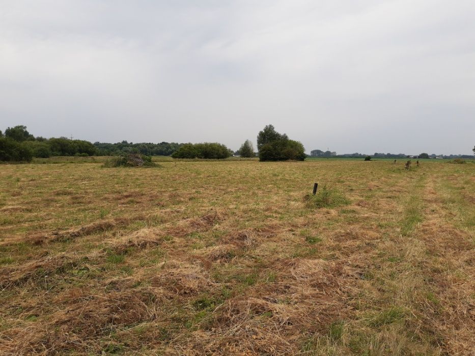 Działka budowlana Jaktorów, ul. Pomorska