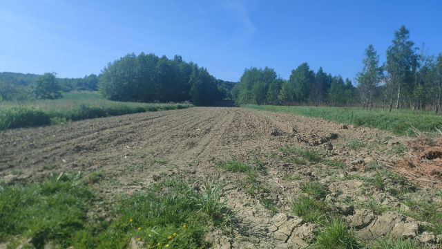 Działka rolna Łaski. Zdjęcie 1
