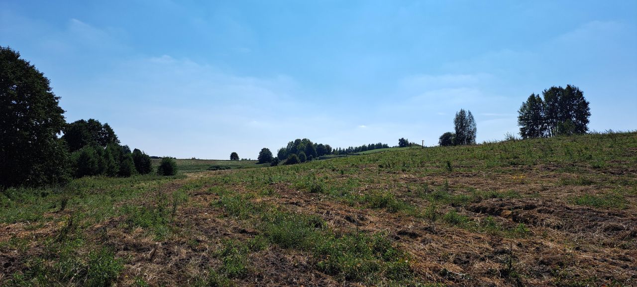 Działka rolna Cerkiewnik. Zdjęcie 14