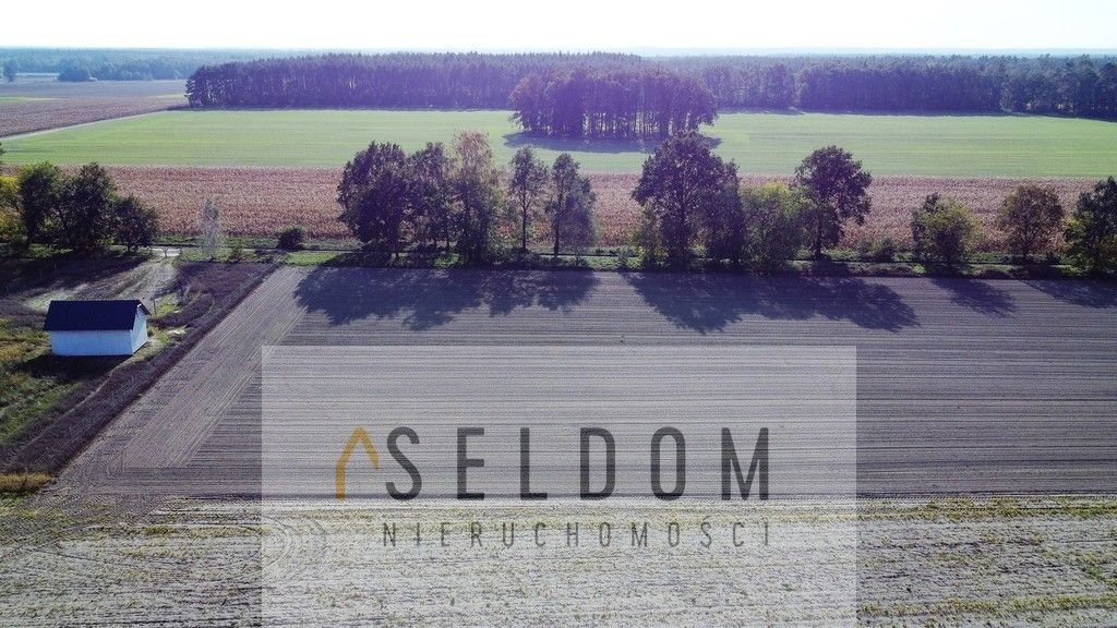 Działka budowlana Lipowa. Zdjęcie 4