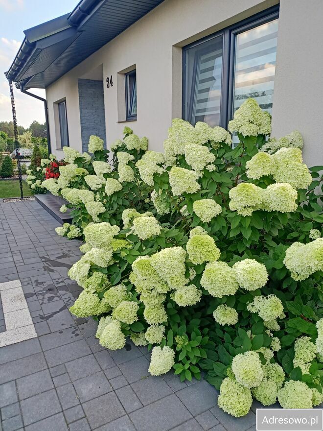 dom wolnostojący, 3 pokoje Łęg Przedmiejski, ul. Leśna. Zdjęcie 5