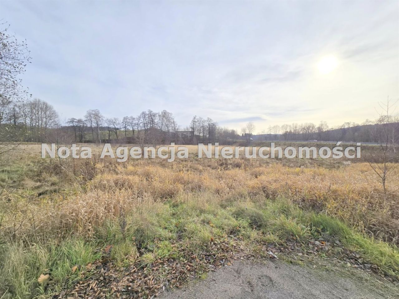 Działka inwestycyjna Jabłów. Zdjęcie 5
