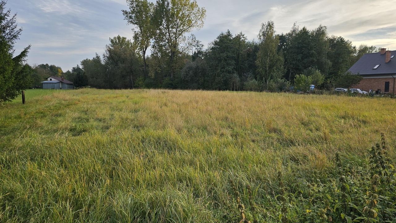 Działka inwestycyjna Palikówka. Zdjęcie 11