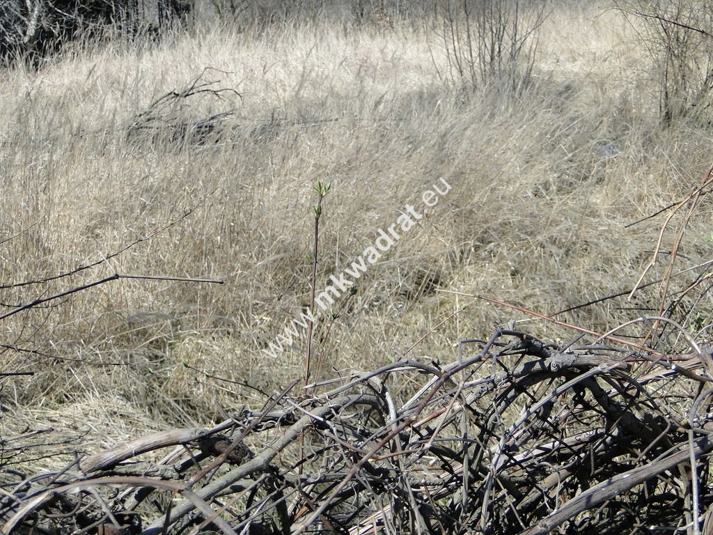 Działka budowlana Warszawa Ursynów. Zdjęcie 2