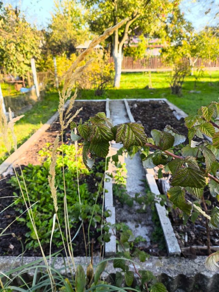 Działka rod Żory, ul. Okrężna. Zdjęcie 2