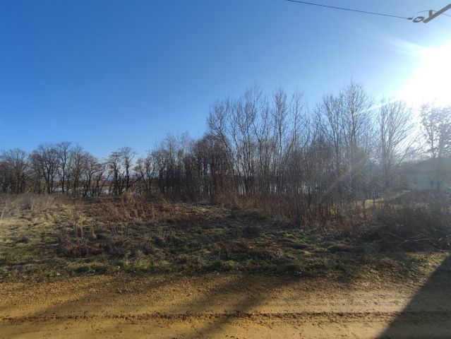 Działka rolna Góra. Zdjęcie 4