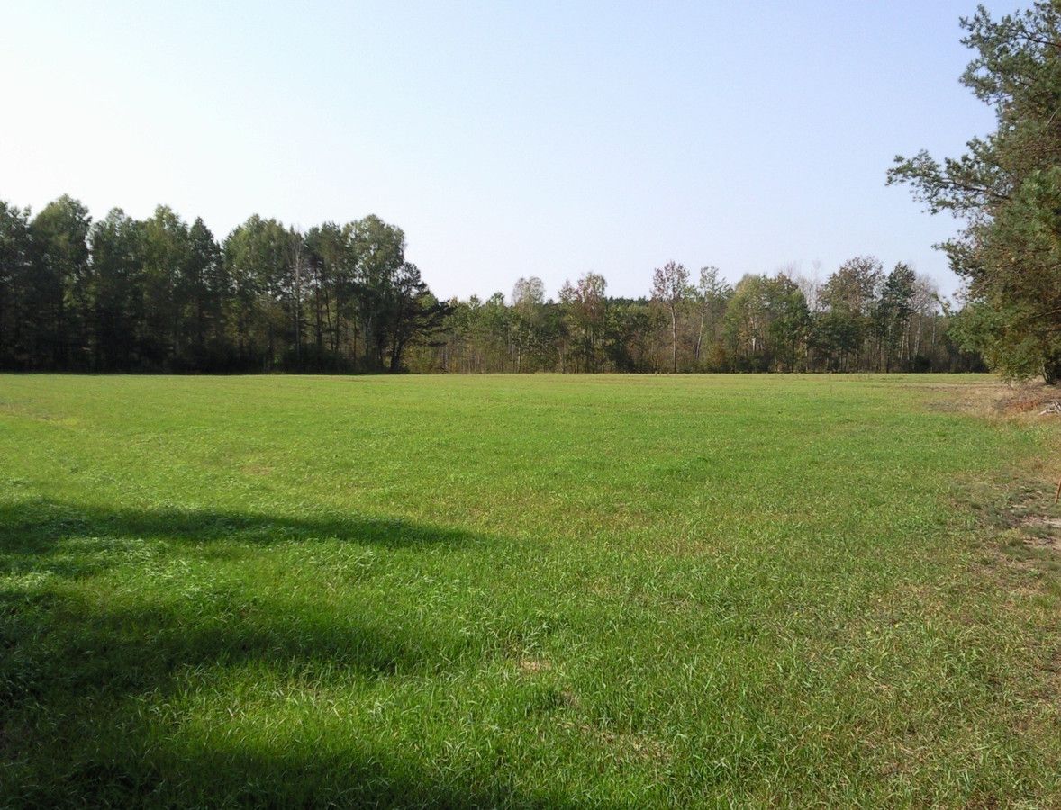 Działka rolna Kąty-Miąski. Zdjęcie 3