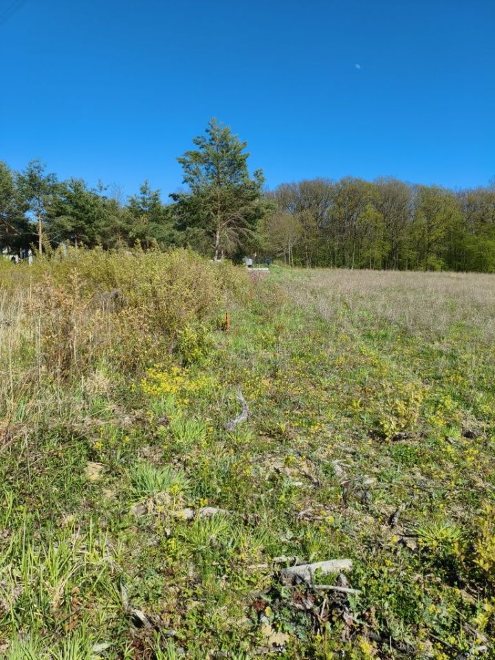 Działka budowlana Morzęcin Wielki. Zdjęcie 3