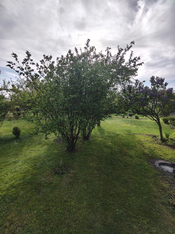 Działka rod Zawiercie, ul. Kresowa. Zdjęcie 7