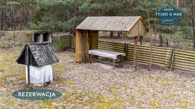 Działka leśna Kije. Zdjęcie 31