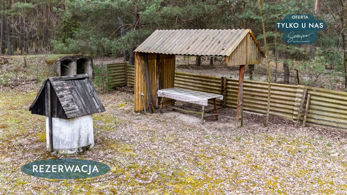 Działka leśna Kije. Zdjęcie 31