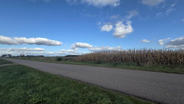 Działka rekreacyjna Nowe Miasto-Folwark. Zdjęcie 9