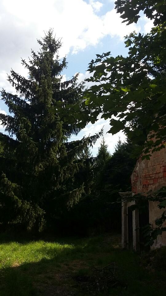 inny, 5 pokoi Sady Górne, Sady Górne. Zdjęcie 12