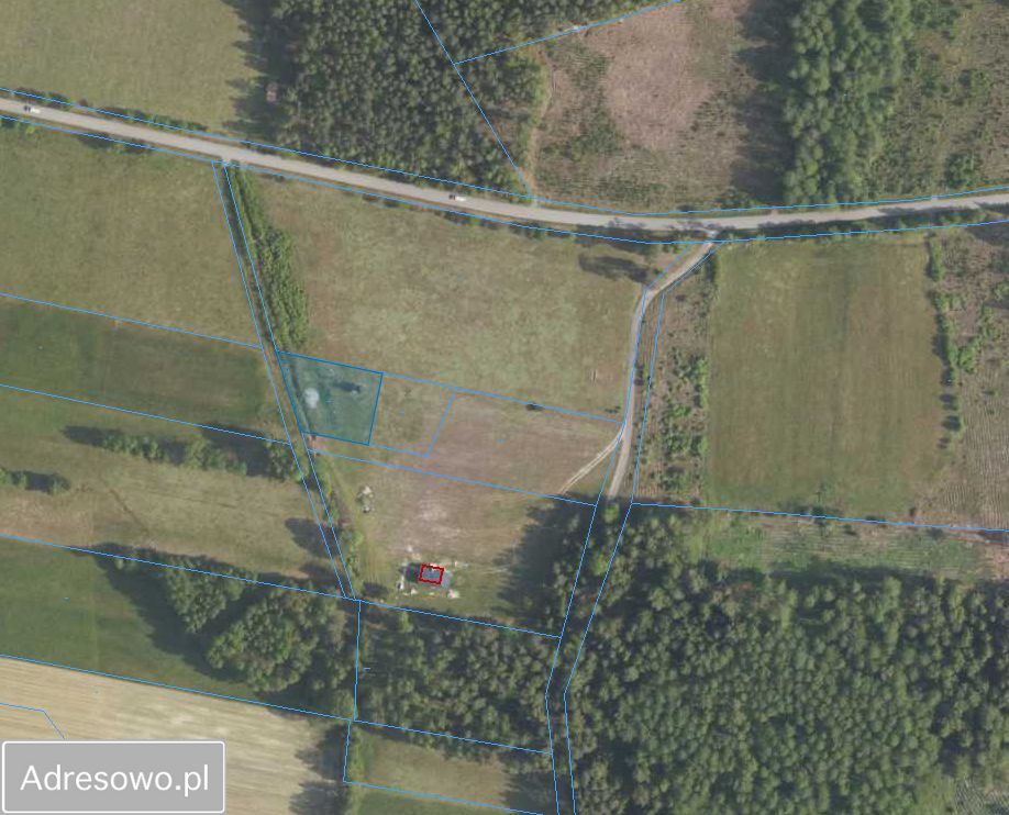 Działka rolno-budowlana Borki Rozowskie. Zdjęcie 2