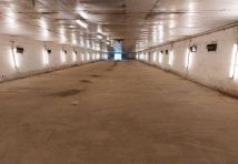 Nieruchomość komercyjna Roków, ul. Rybacka. Zdjęcie 2