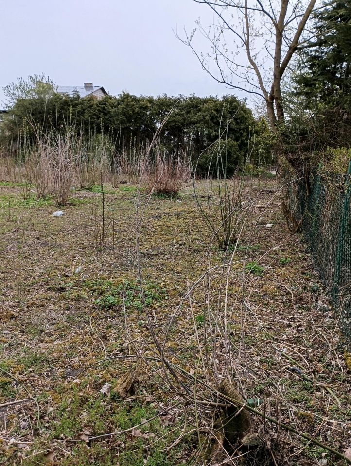 Nieruchomość komercyjna Wrocław Zakrzów, ul. gen. Leopolda Okulickiego. Zdjęcie 3