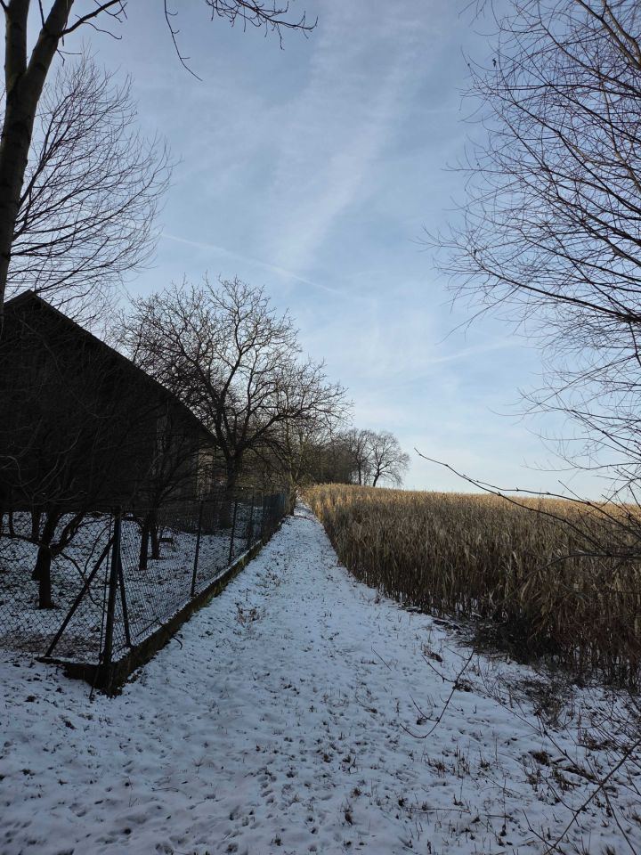 Działka rolno-budowlana Rawałowice. Zdjęcie 6