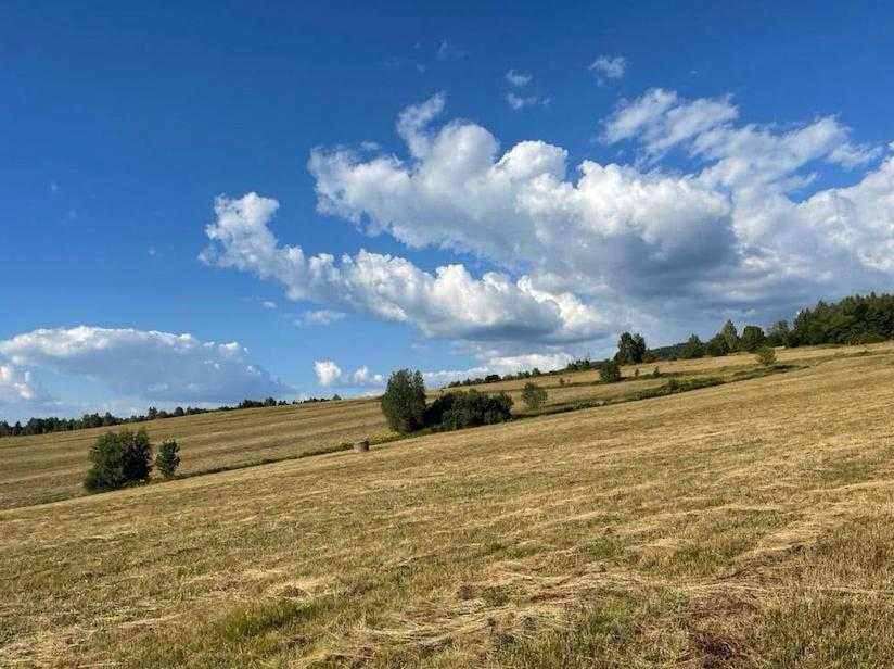 Działka siedliskowa Potoczek. Zdjęcie 4