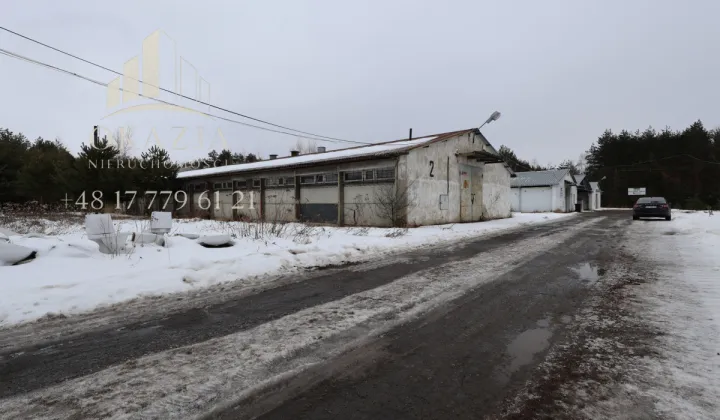 Lokal Wysoka Głogowska