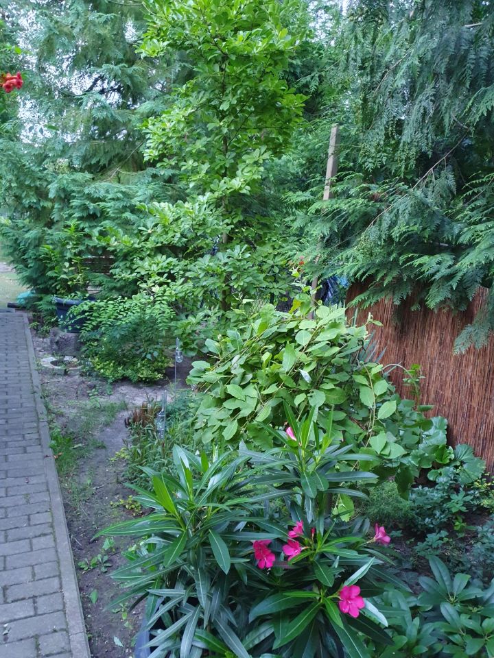 inny, 2 pokoje Puszczykowo, Podgórna. Zdjęcie 8