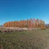 Działka rolna Żerosławice, działka 198. Zdjęcie 2