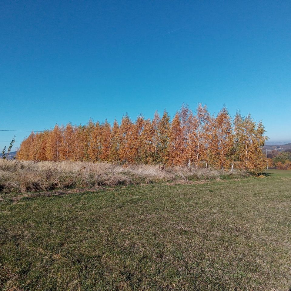 Działka rolna Żerosławice, działka 198. Zdjęcie 3