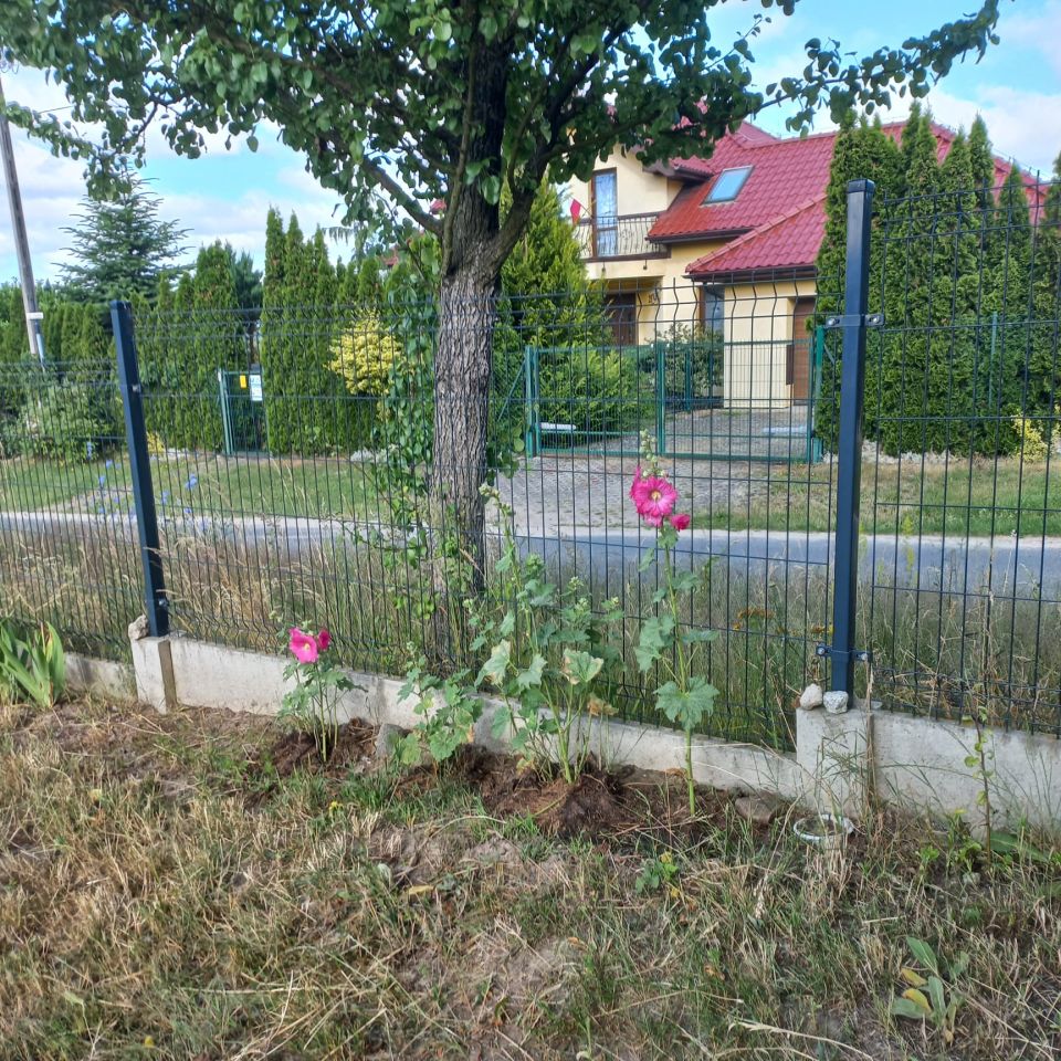 Działka rolno-budowlana Niedary, ul. Spacerowa. Zdjęcie 4