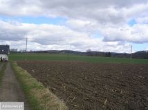 Działka rolna Święcko. Zdjęcie 3