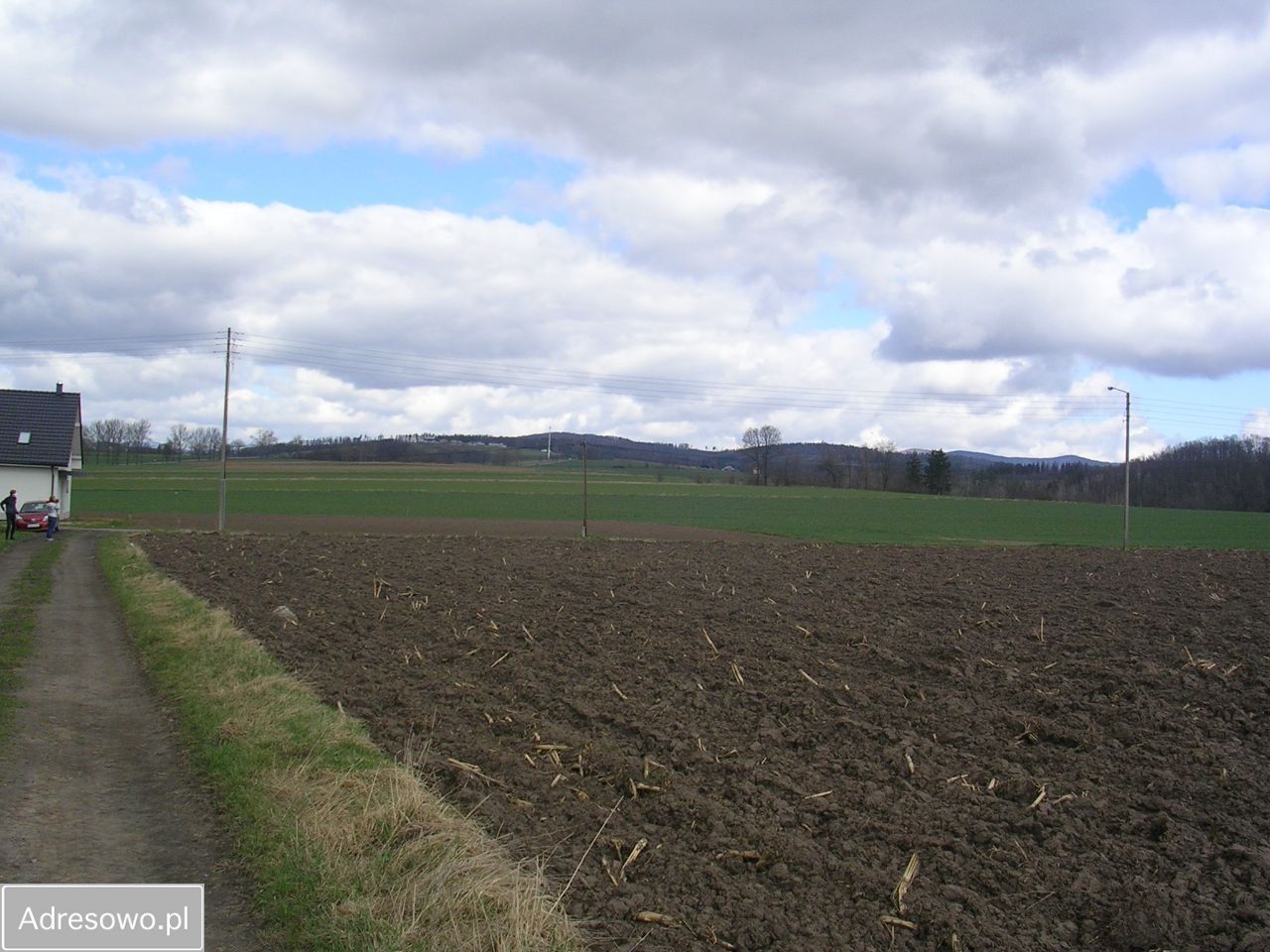 Działka rolna Święcko. Zdjęcie 4