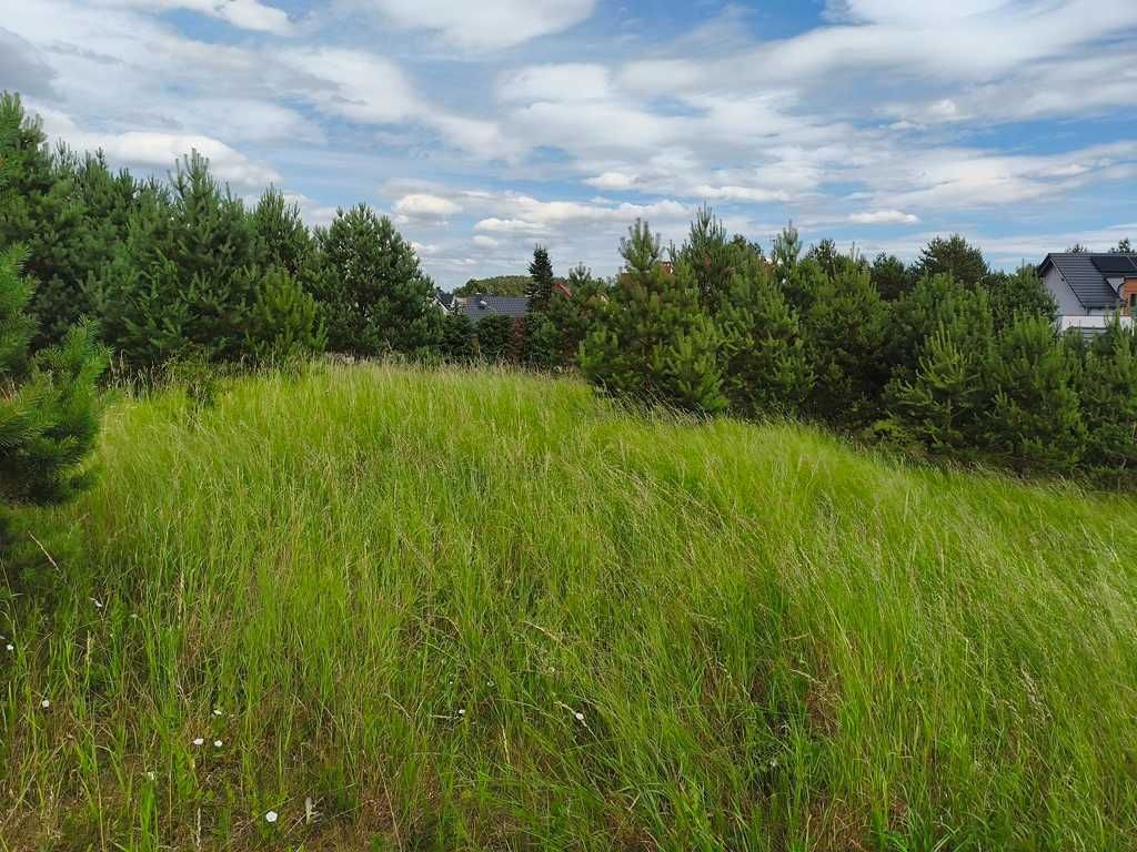 Działka budowlana Kościerzyna-Wybudowanie. Zdjęcie 6