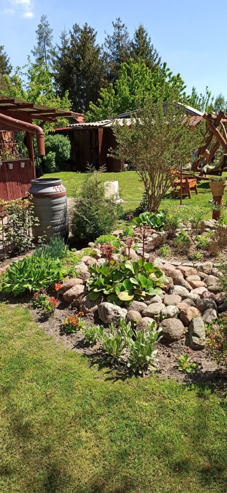 Działka rod Płock, ul. Dobrzyńska. Zdjęcie 22