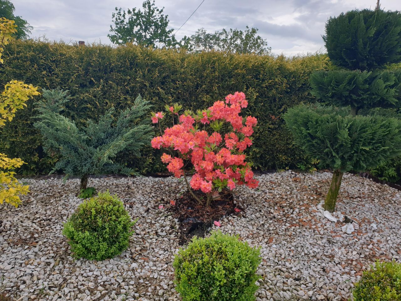 dom wolnostojący, 3 pokoje Czernięcin Poduchowny, Czernięcin Poduchowny. Zdjęcie 20