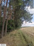 Działka budowlana Sułocin-Towarzystwo. Zdjęcie 2
