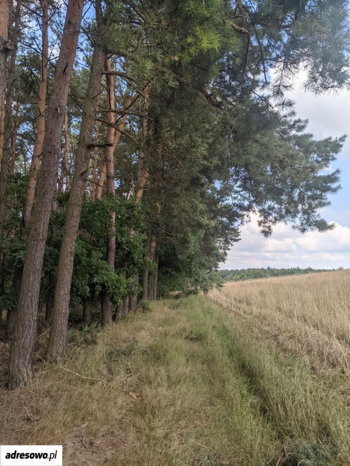 Działka budowlana Sułocin-Towarzystwo. Zdjęcie 3
