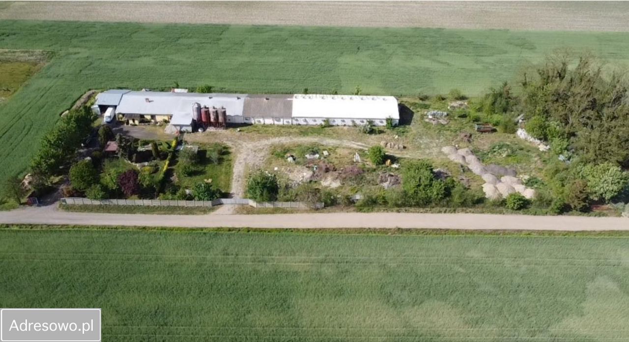 Hala/magazyn Kiełpiny. Zdjęcie 4