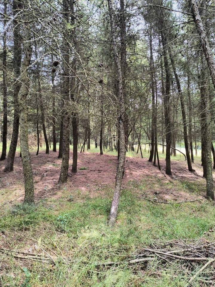 Działka rolna Dobrogoszczyce. Zdjęcie 9