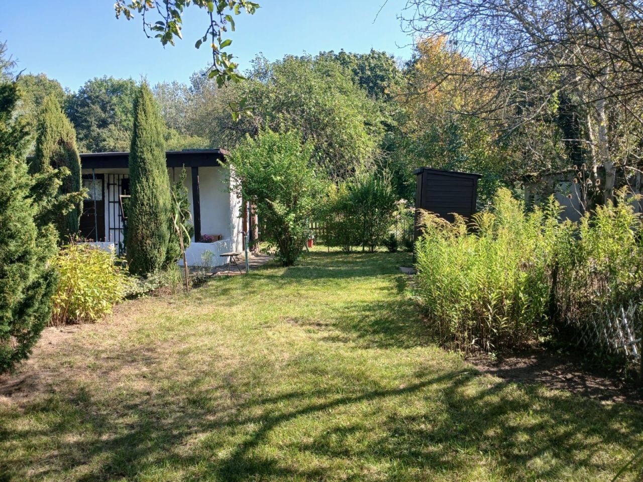 Działka rod Poznań Wilda, ul. Droga Dębińska. Zdjęcie 7