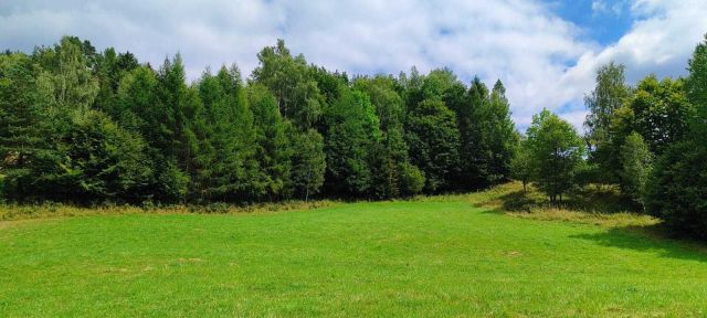 Działka rolno-budowlana Łosie. Zdjęcie 1