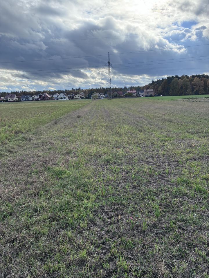 Działka rolna Kazimierz Biskupi, ul. Bielawy. Zdjęcie 6