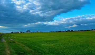 Działka rolna Badrzychowice