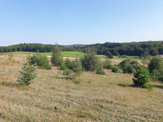 Działka budowlana Luzino. Zdjęcie 3