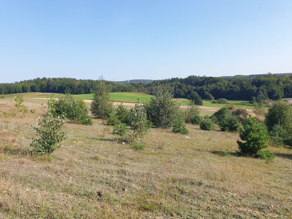 Działka budowlana Luzino. Zdjęcie 3