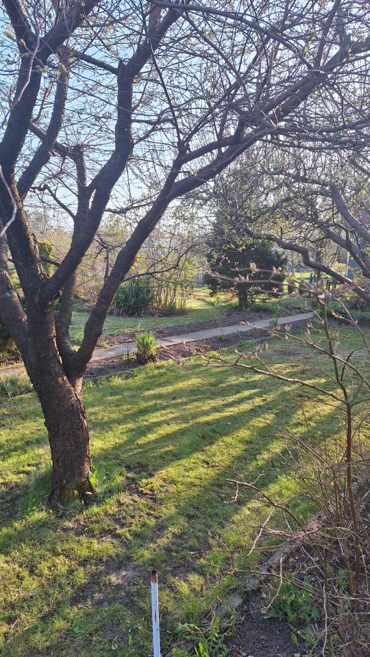 Działka rod Koszalin Północ, ul. Aleja Europejska. Zdjęcie 6