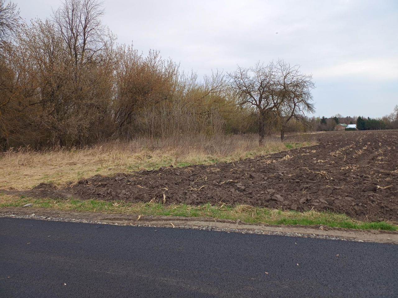 Działka budowlana Terespol, ul. Marii Konopnickiej. Zdjęcie 3