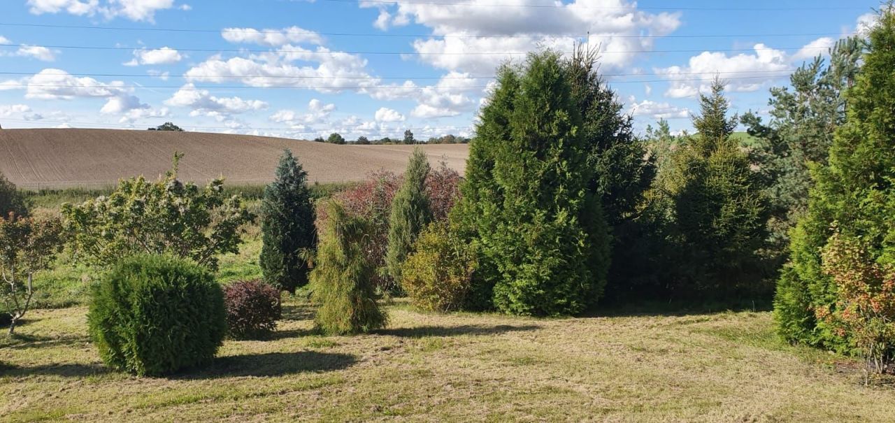 Działka rolno-budowlana Koniecwałd. Zdjęcie 5