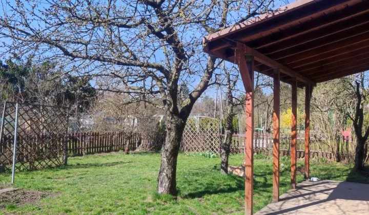 Działka rod Łódź Górna, ul. Świętojańska