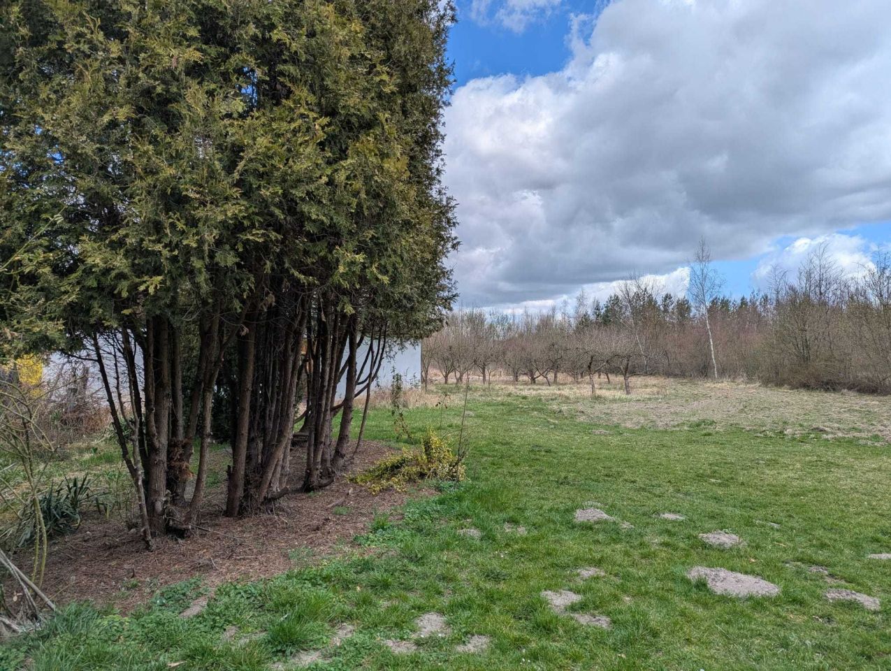 Działka budowlana Mniszek. Zdjęcie 7